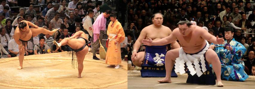 The Grand Sumo Tournament: Two Tickets Giveaway for New Members (Closed)