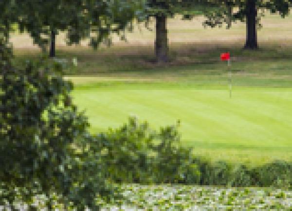 Collar Cup Golf Match 2024