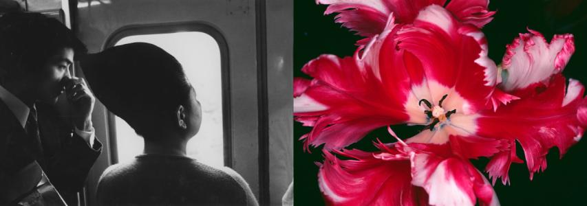 OKASHI – Special Private View with Michael Hoppen