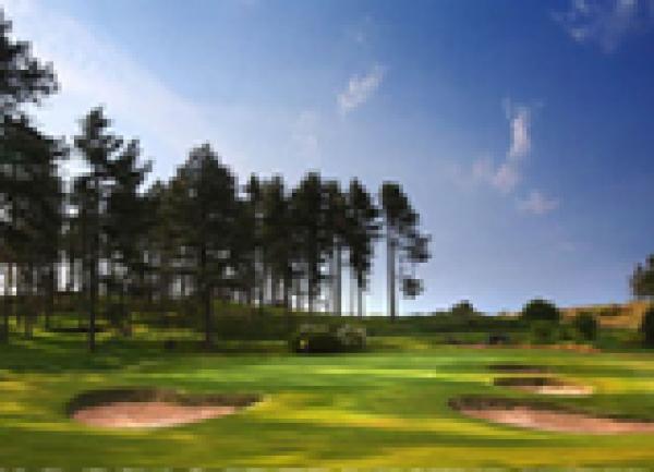 The Japan Society Golf Tournament 2025 - Photos