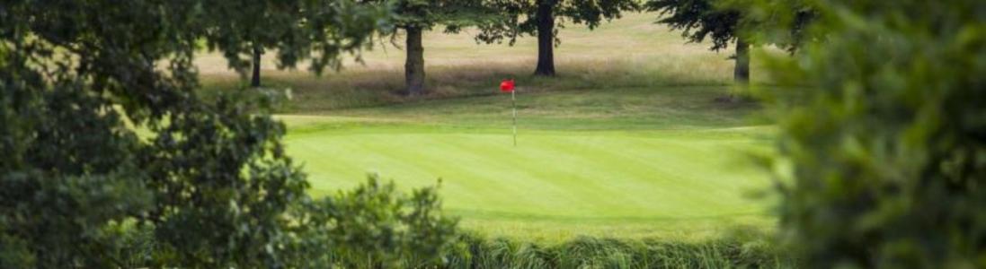 Collar Cup Golf Match 2024 - Winners and Pictures