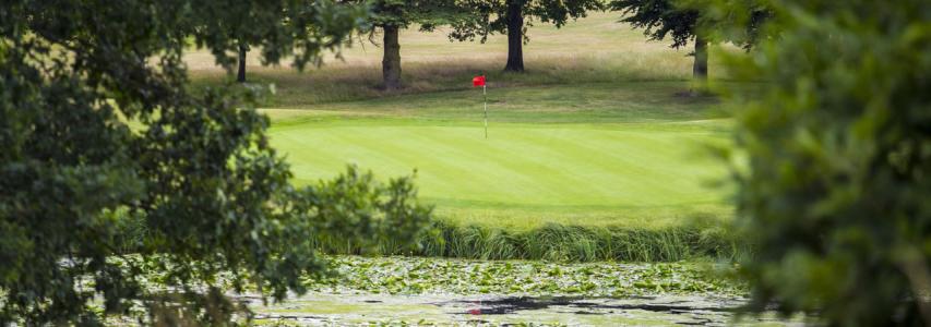 Collar Cup Golf Match 2024