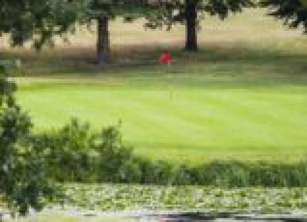 Collar Cup Golf Match 2024 - Winners and Pictures