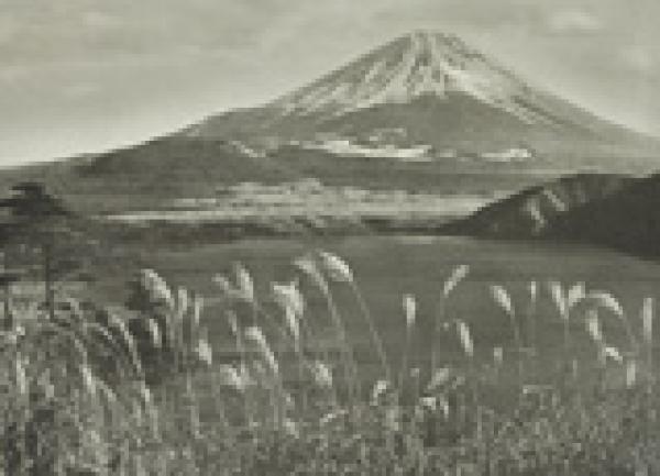 In Search of Herbert Ponting in Japan, with author Anne Strathie