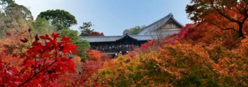 The History of Medicine in Japan