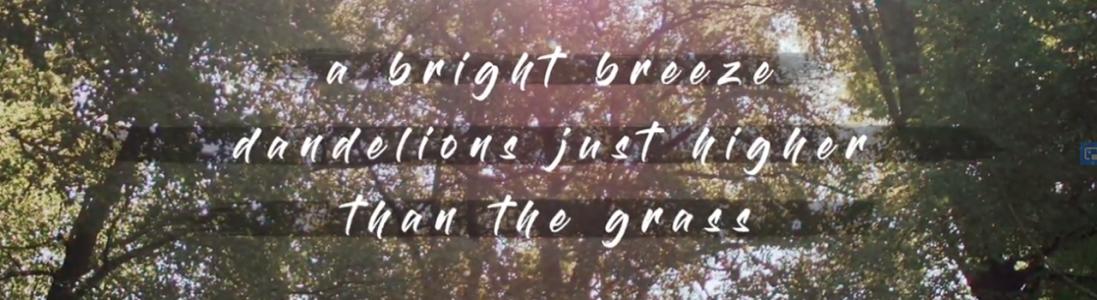 Video: How to Haiku: Beyond 5 7 5