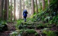 A Japanese Pilgrimage