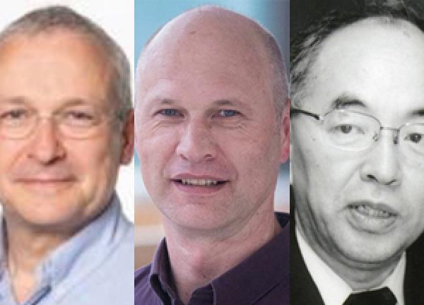 UK Japan Collaboration in Medical Research: Regenerative Medicine