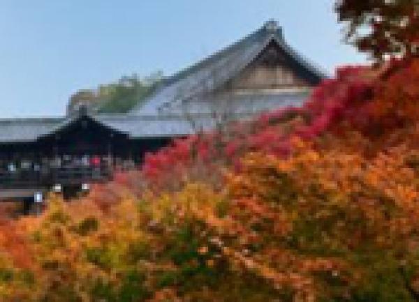 The History of Medicine in Japan