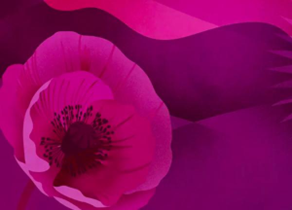 RPO Journeys of Discovery: Conflict - Members Discount