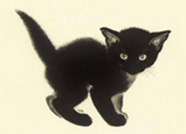 ONLINE EVENT - Japan Society Book Club: If Cats Disappeared From The World by Genki Kawamura