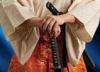 The Court of the Shogun