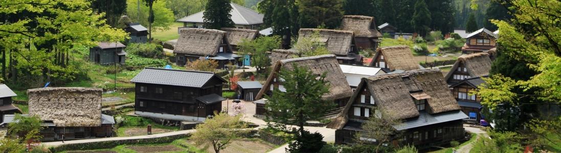 Toyama Week in London