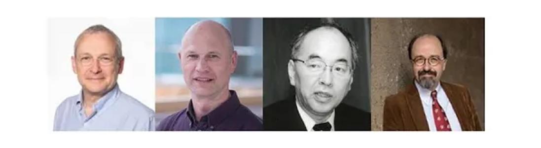 Webinar Video - UK Japan Collaboration in Medical Research: Regenerative Medicine