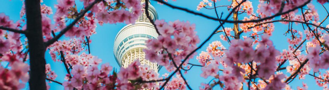 Japan Society Chairman's Blog (37)