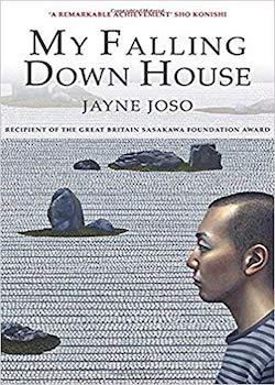 My Falling Down House