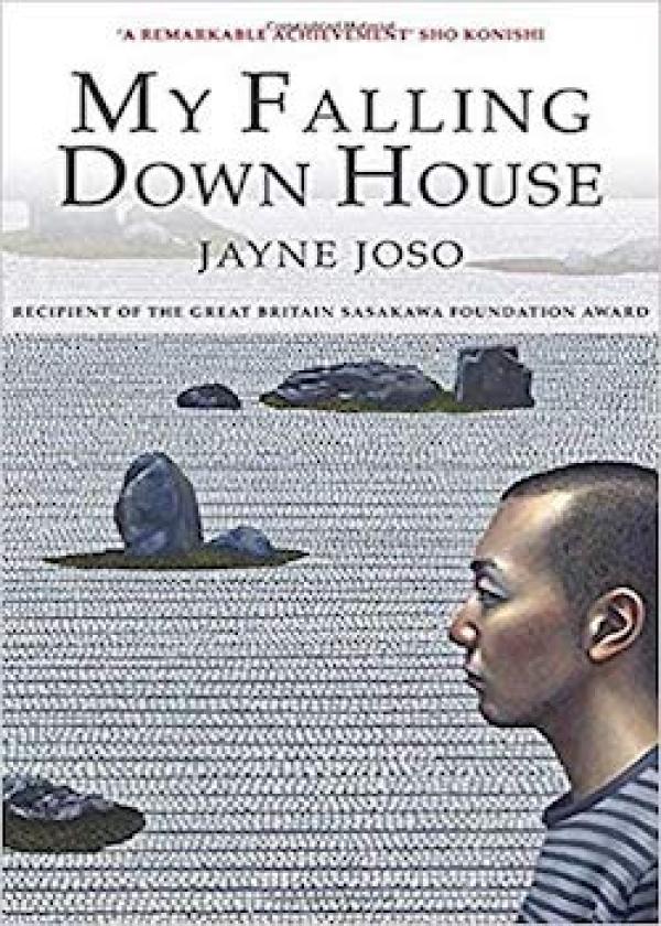 My Falling Down House