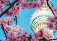 Japan Society Chairman's Blog (37)