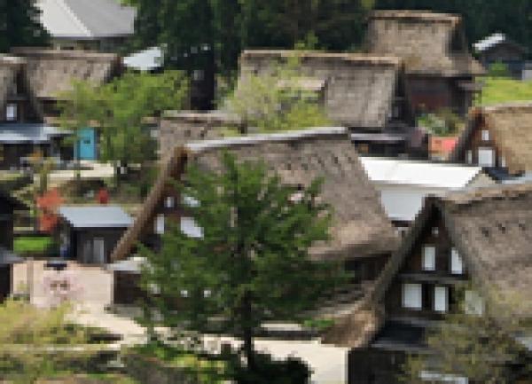Toyama Week in London