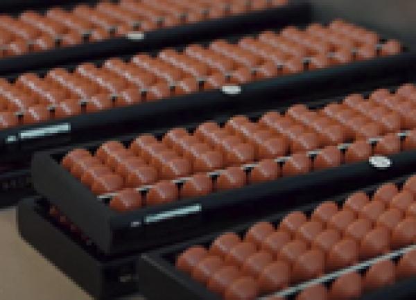 NEW online course for UK Teachers - Japanese Abacus (Soroban)