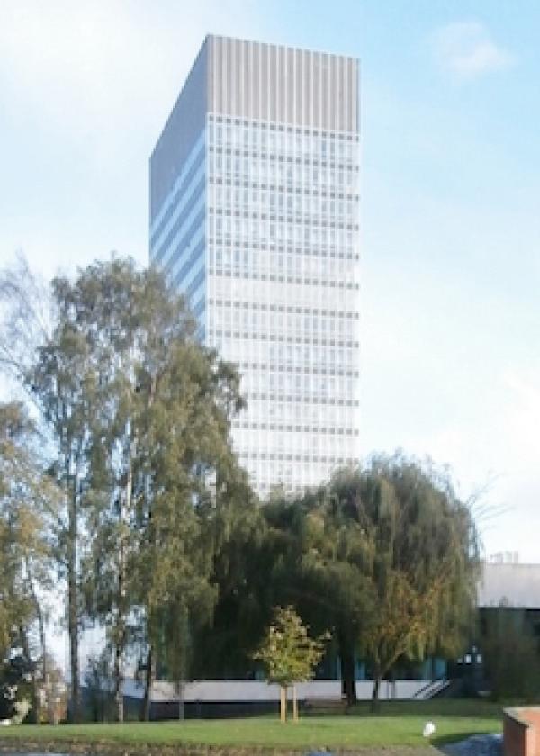 Celebrating 50 years of Japanese Studies at the University of Sheffield