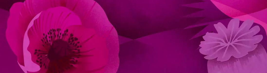 RPO Journeys of Discovery: Conflict - Members Discount