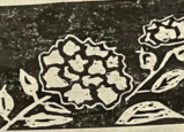 Woodblock Printing Workshop with Hiroko Imada - Photos