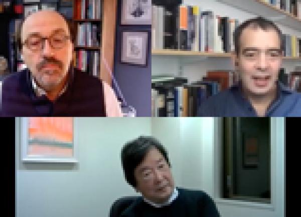 Webinar Video - The Future of Democracy in the USA