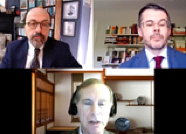 Webinar Video - COVID-19: The Political Economy of the Pandemic with Robert Feldman and Robert Ward
