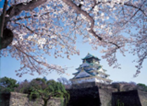Japan Society Chairman's Blog (16)