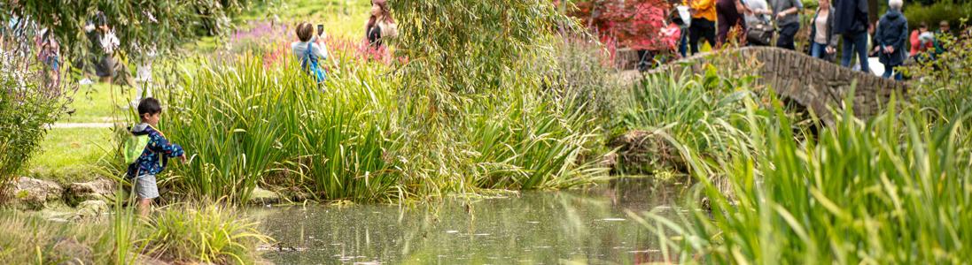 Join the Hammersmith Japanese Garden Working Party!
