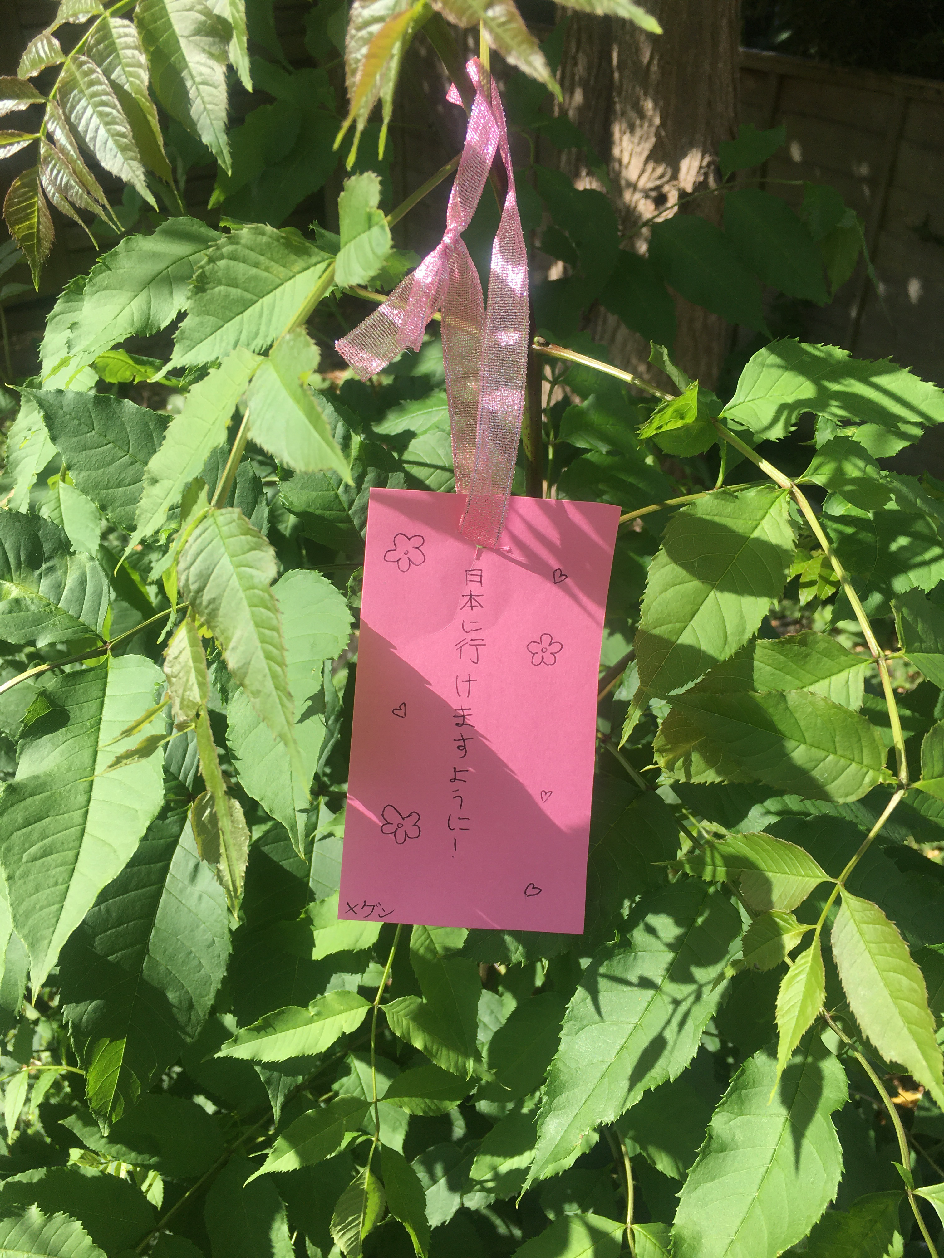 I wish I'll be able to go to Japan - Megan (Bexley Grammar School)