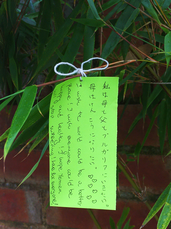 私は母と父とブルガリアにいきたい。I want to go to Bulgaria with my mum and dad./ 母はけんこうになりた。I want my mum to be healthy - Milla