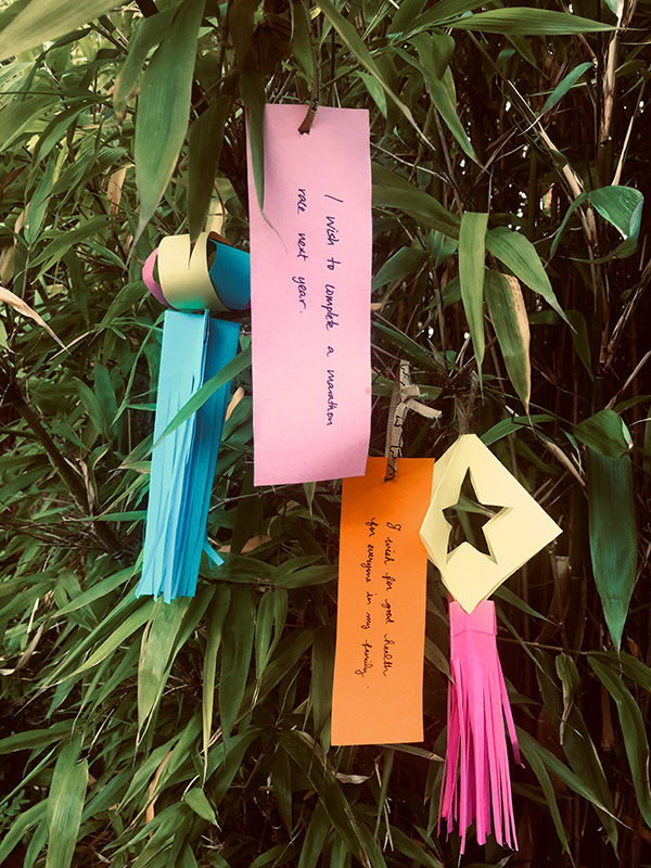 I wish to complete a marathon race next year - TP / I wish for good health for everyone in my family - RL