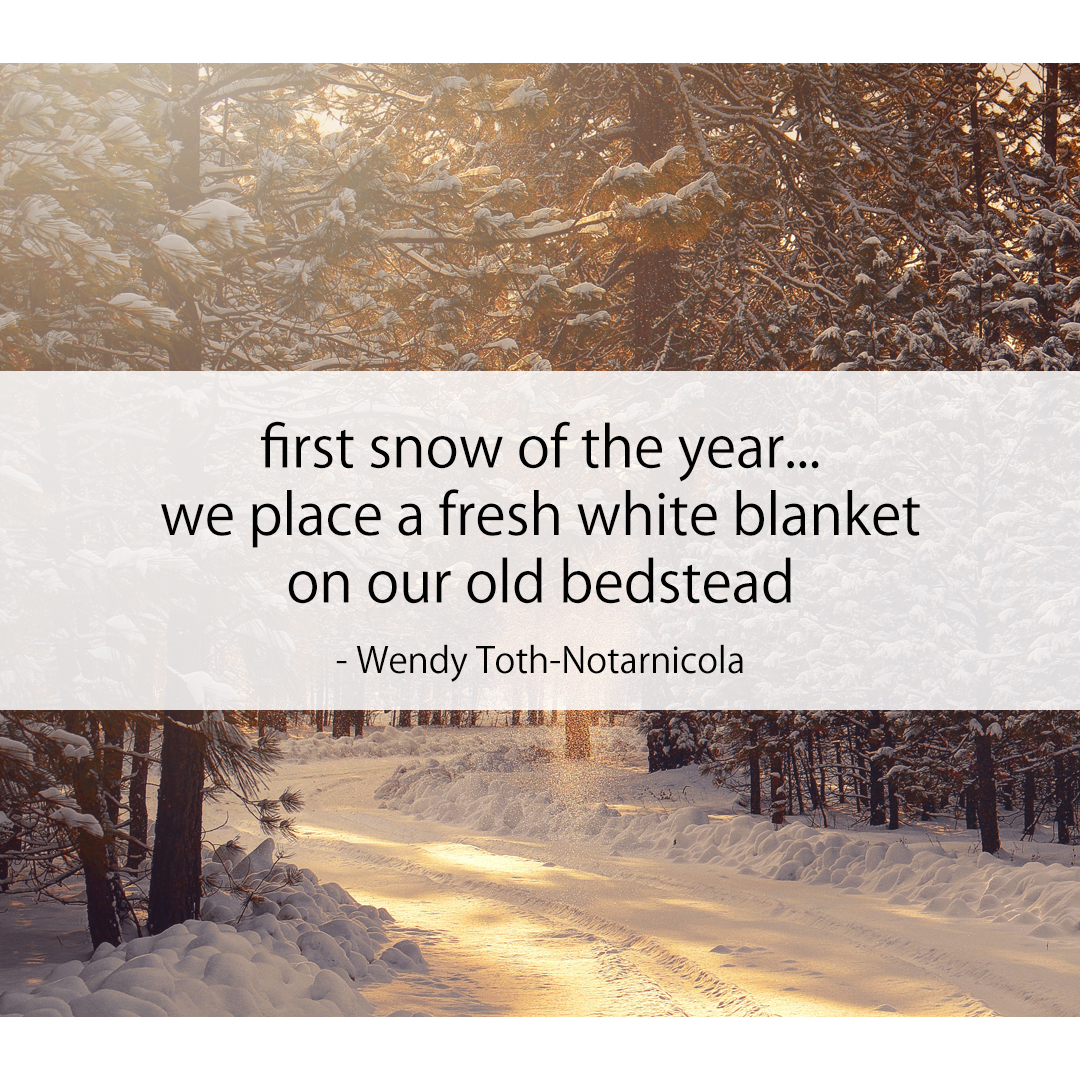 first snow of the year... / we place a fresh white blanket / on our old bedstead
