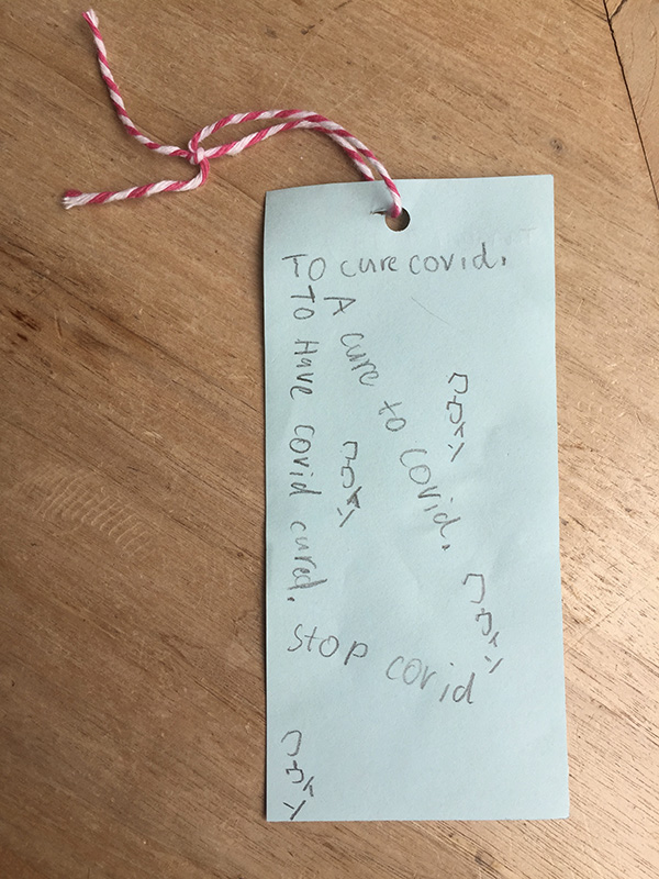 I wish to cure and stop covid - Quinn