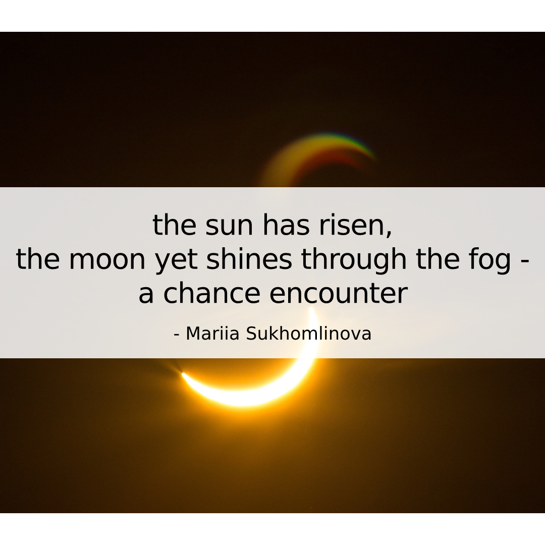 the sun has risen, / the moon yet shines through the fog - / a chance encounter